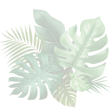 VHlHRV0MQQ-S9Mw3M2xf2A-Photoroom (7)